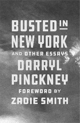 Busted in New York and Other Essays - Darryl Pinckney