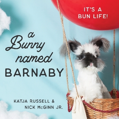 A Bunny Named Barnaby - Katja Russell, Nick McGinn