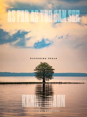 As Far As You Can See - Kenny Braun