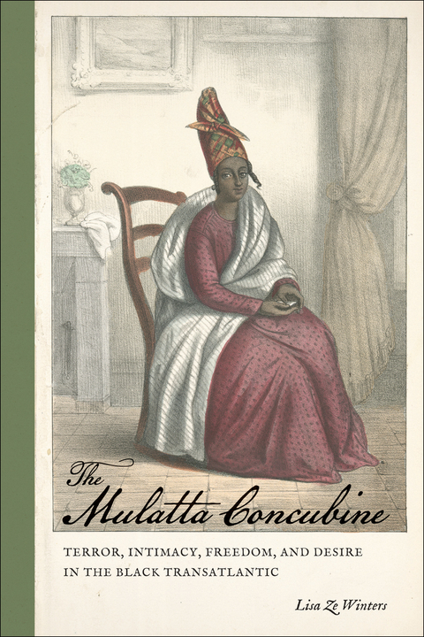 The Mulatta Concubine - Lisa Ze Winters