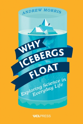 Why Icebergs Float