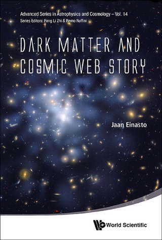 DARK MATTER & COSMIC WEB STORY