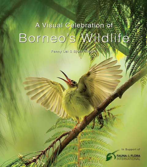 Visual Celebration of Borneo's Wildlife - Fanny Lai, Bjorn Olesen