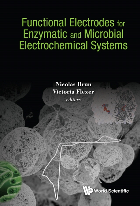 FUNCTIONAL ELECTRODES ENZYMATIC & MICROBIAL ELECTROCHEM SYS - 
