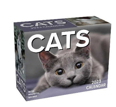 Cats 2023 Mini Day-to-Day Calendar -  Andrews McMeel Publishing
