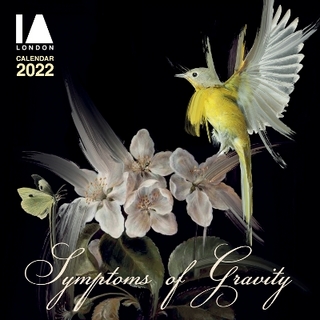 IA London - Symptoms of Gravity Wall Calendar 2022 (Art Calendar)
