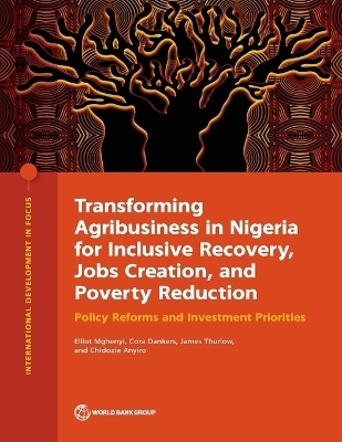 Transforming Agribusiness in Nigeria for Inclusive Recovery, Jobs Creation, and Poverty Reduction - Elliot Mghenyi, Cora Dankers, James Thurlow, Chidozie Anyiro