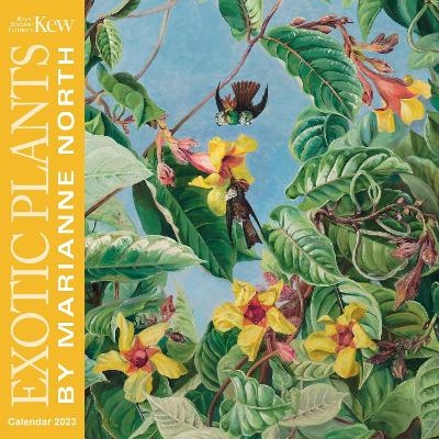 Kew Gardens: Marianne North Wall Calendar 2023 (Art Calendar) - 