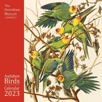 Fitzwilliam Museum: Audubon Birds Wall Calendar 2023 (Art Calendar) - 