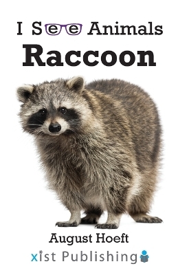Raccoon - August Hoeft