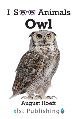 Owl - August Hoeft