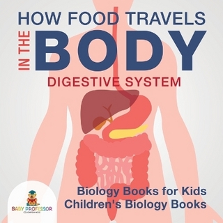 How Food Travels in the Body