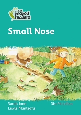 Level 3 – Small Nose