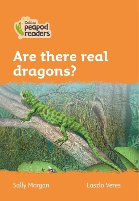 Level 4 – Are there real dragons? - Sally Morgan