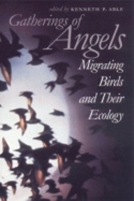 Gatherings of Angels - 