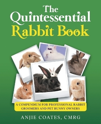The Quintessential Rabbit Book - Anjie Coates