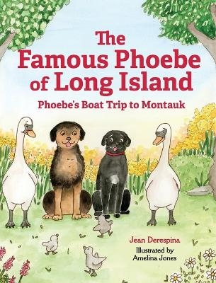 The Famous Phoebe of Long Island