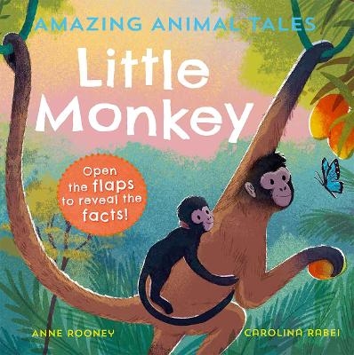 Amazing Animal Tales: Little Monkey - Anne Rooney