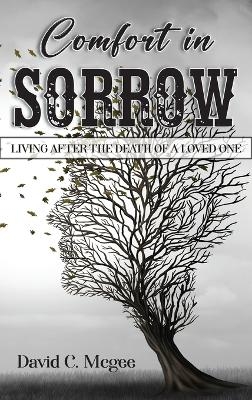 Comfort in Sorrow