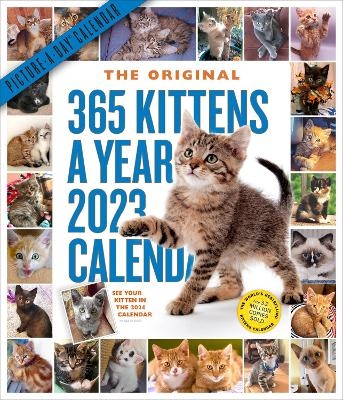 365 Kittens-A-Year Picture-A-Day Wall Calendar 2023 -  Workman Calendars