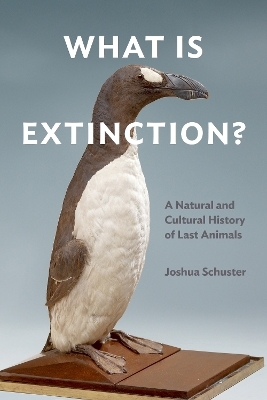 What Is Extinction? - Joshua Schuster