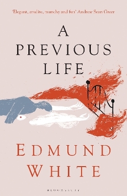 A Previous Life - Edmund White