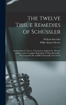 The Twelve Tissue Remedies of Sch&uuml;ssler - Willis Alonzo Dewey, William Boericke