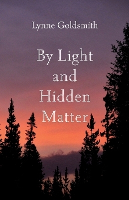 By Light and Hidden Matter - Lynne Goldsmith