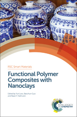 Functional Polymer Composites with Nanoclays - 