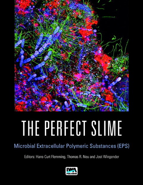 Perfect Slime - 