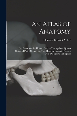 An Atlas of Anatomy - 