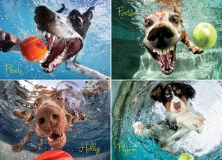 Underwater Dogs: Play Ball Jigsaw