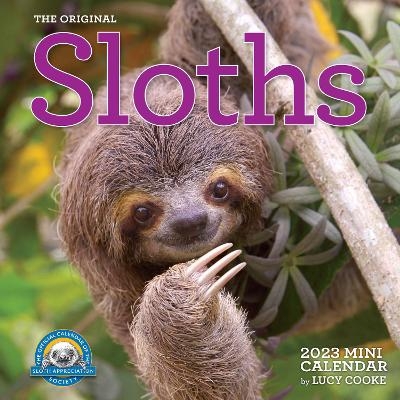 Original Sloths Mini Wall Calendar 2023 - Lucy Cooke,  Workman Calendars