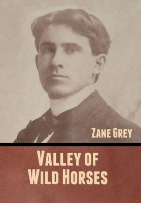 Valley of Wild Horses - Zane Grey