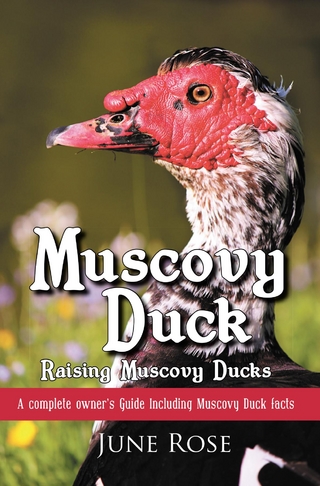 Muscovy Duck
