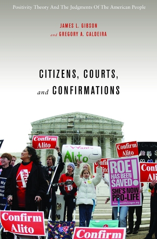 Citizens, Courts, and Confirmations