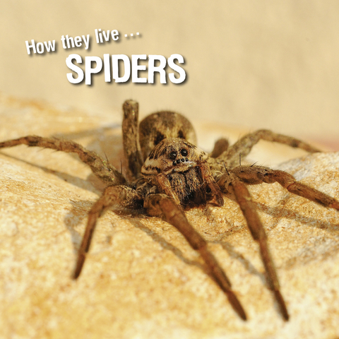 How they live... Spiders - David Withrington, Ivan Esenko