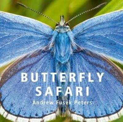 Butterfly Safari - Andrew Fusek Peters