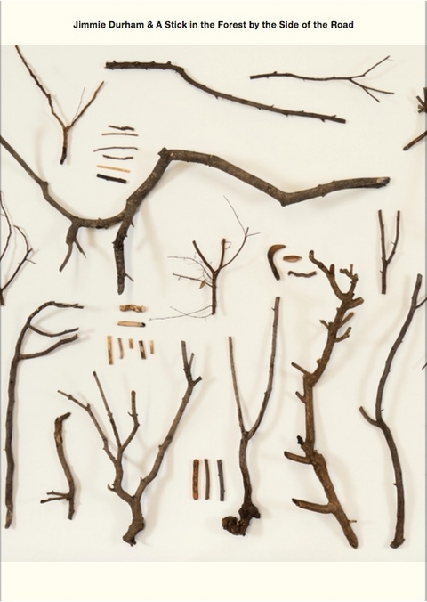 Jimmie Durham & A Stick in the Forest by the Side of the Road Series (vol.1-12) - 