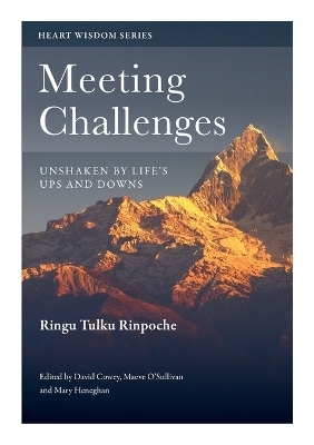 Meeting Challenges - Ringu Tulku Rinpoche