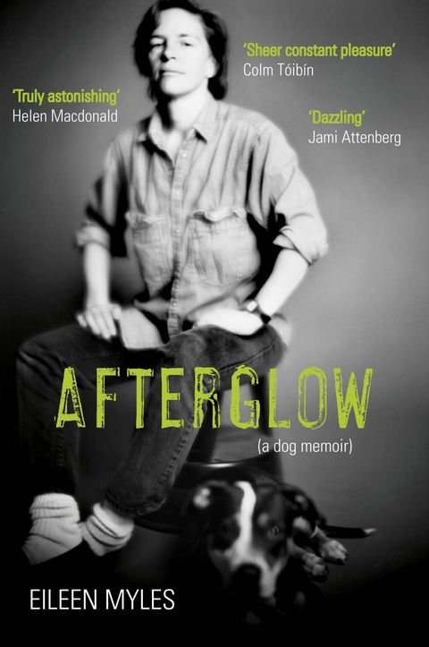 Afterglow -  Eileen Myles