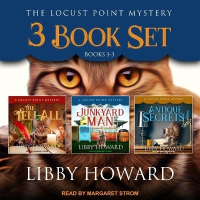 Locust Point Mystery 3 Book Set - Libby Howard