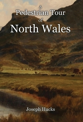 A Pedestrian Tour through North Wales in a Series of Letters - Joseph Hucks