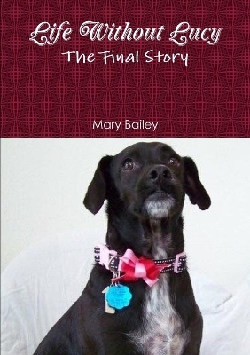 Life Without Lucy - Mary Bailey