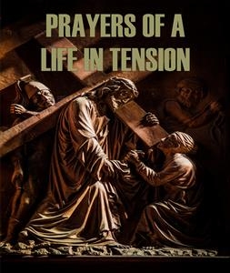 Prayers of a Life in Tension - Stephen W. Hiemstra