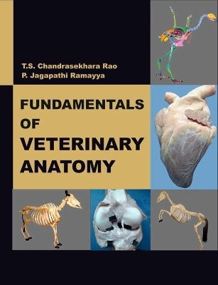 Fundamentals of Veterinary Anatomy - T.S. Chandrasekhara Rao, P. Jagapathi Ramayya