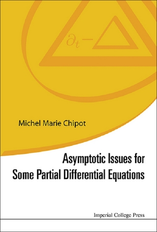 ASYMPTOTIC ISSUES FOR SOME PARTIAL DIFFERENTIAL EQUATIONS