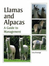 Llamas and Alpacas - Gina Bromage