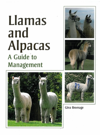 Llamas and Alpacas