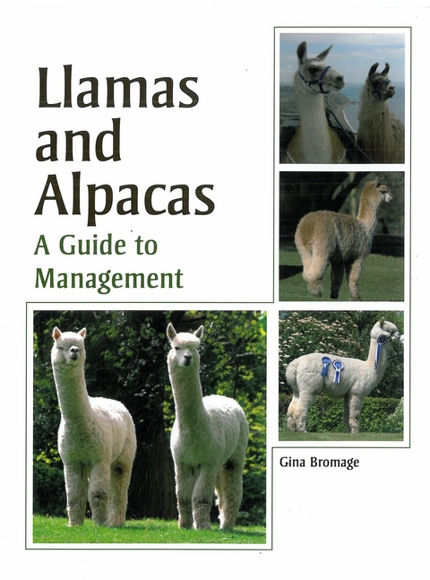 Llamas and Alpacas - Gina Bromage